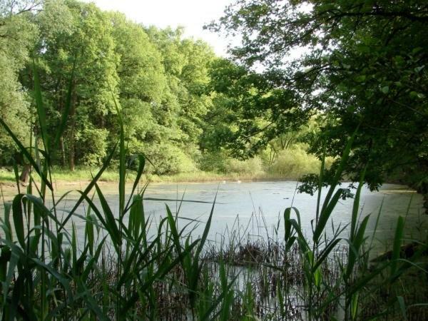 Ferienhaus Bindow Heidesee Exterior foto